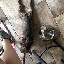 Idyllwild Brewpub restaurant view 5