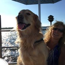 The Fish restaurant view 8