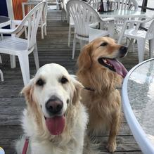 The Fish restaurant view 7