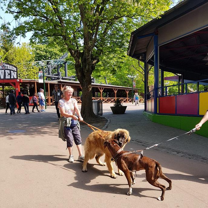 Pet-friendly amusement park, Bakken. The oldest amusement park in the world, Bakken, allows dogs.