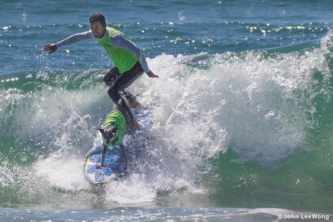 Surf City Surf Dog Competition on Huntington Beach This Huntington Beach dog event allows human and canine surfers to show off surf skills for charity.