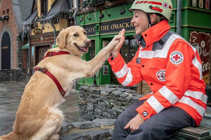 Dog-friendly Europa-Park Europa-Park in Germany welcomes dogs.