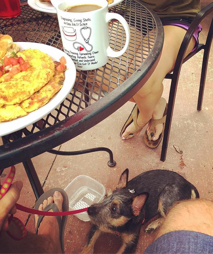 Eat breakfast with your dog at Zada Jane’s Corner Cafe in Charlotte. Zada Jane’s Corner Cafe in Charlotte has a pet-friendly patio.