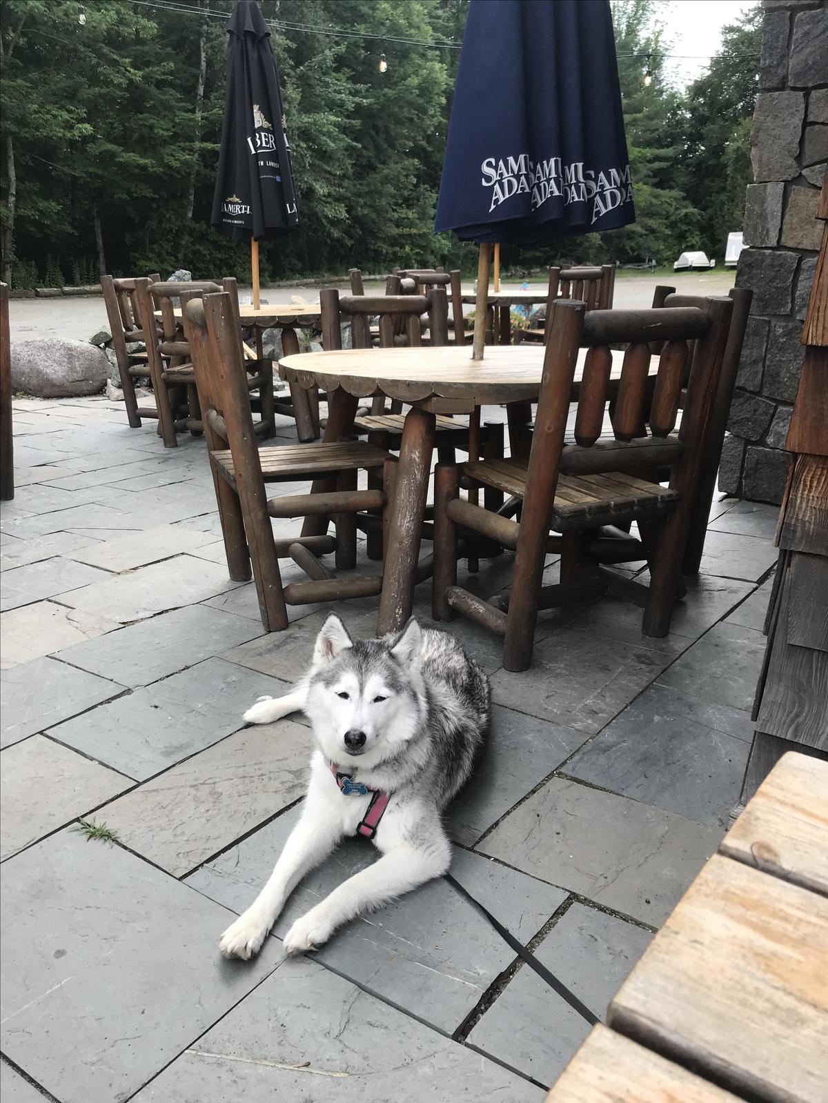 Sticks and Stones restaurant view 1