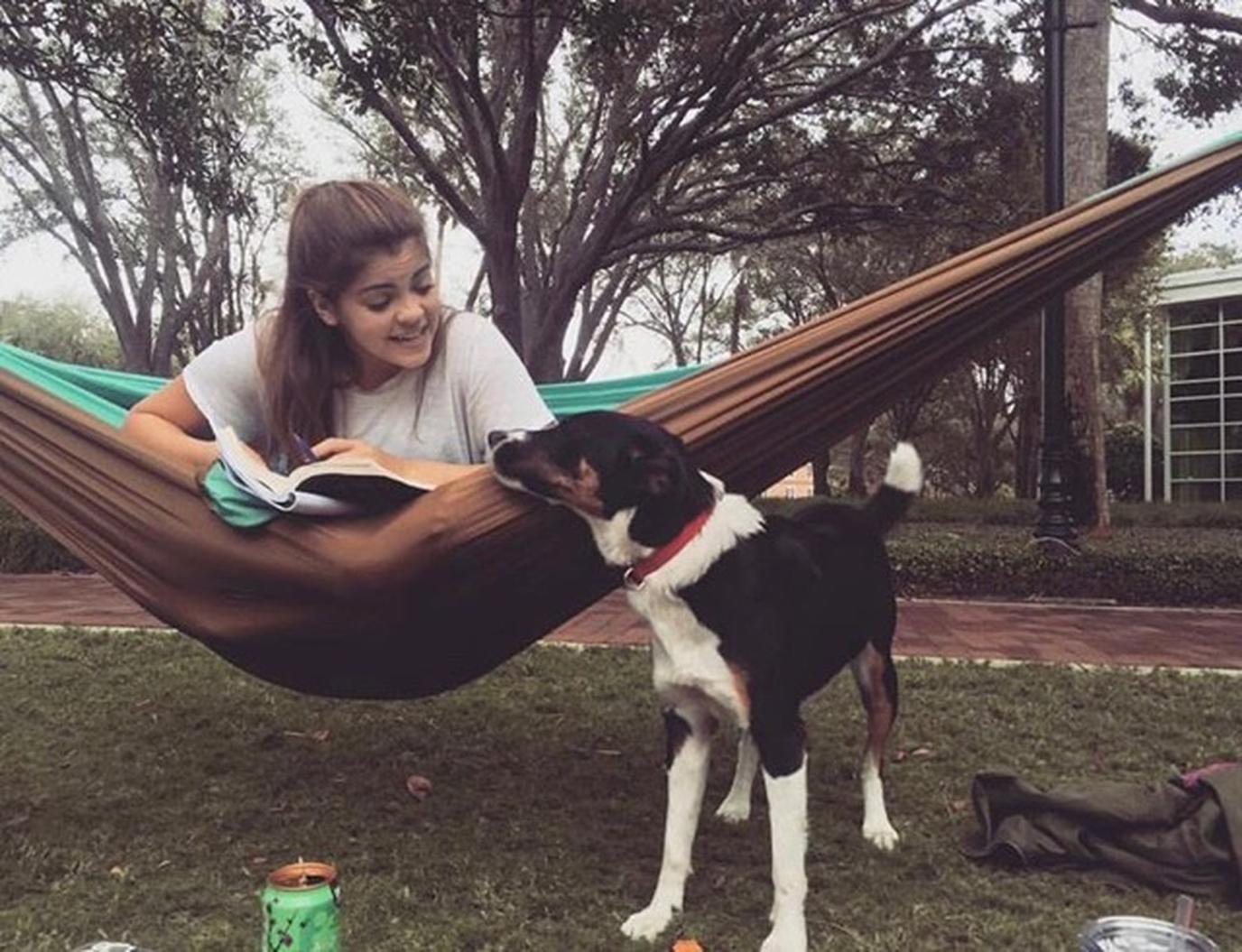 Stetson University is a pet-friendly university in DeLand, FL. Stetson University is a pet-friendly college that welcomes dogs on campus.