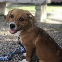 Fralo's restaurant view 1