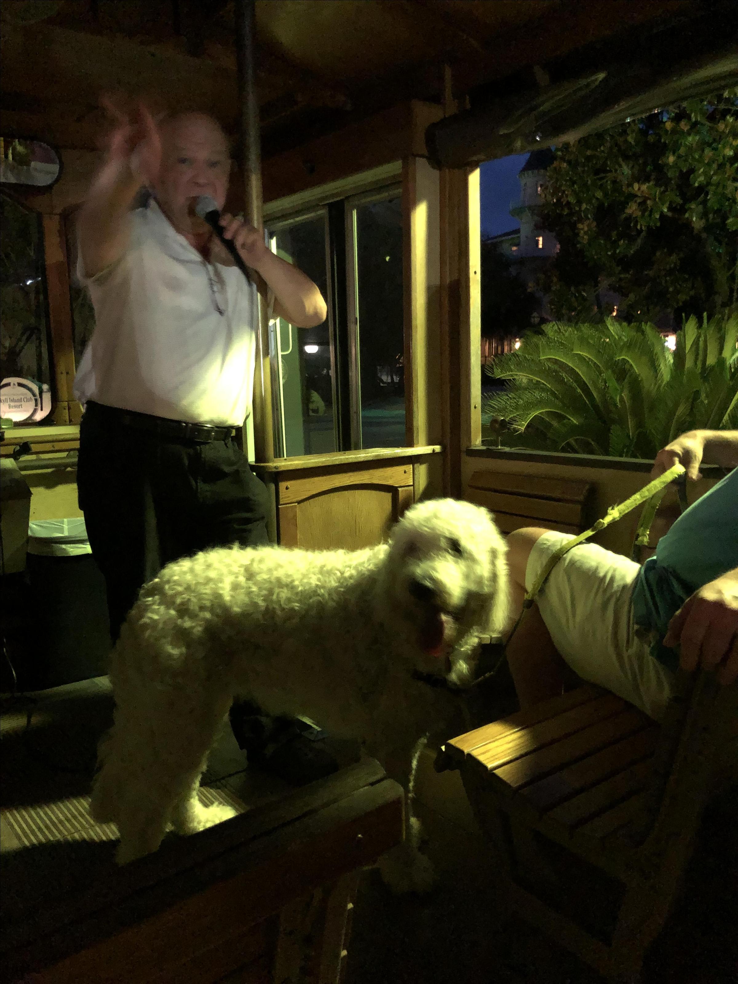 Dog Friendly Jekyll Island Ga Bring Fido