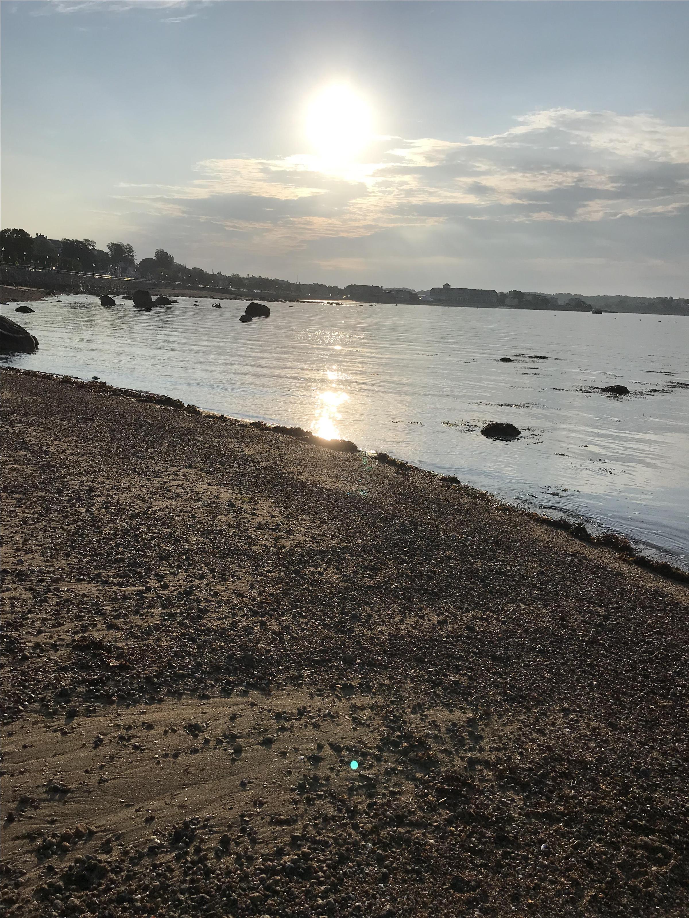 Crab Beach ⋆ BringFido