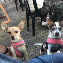 Island Cafe restaurant view 3