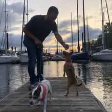 Island Cafe restaurant view 2