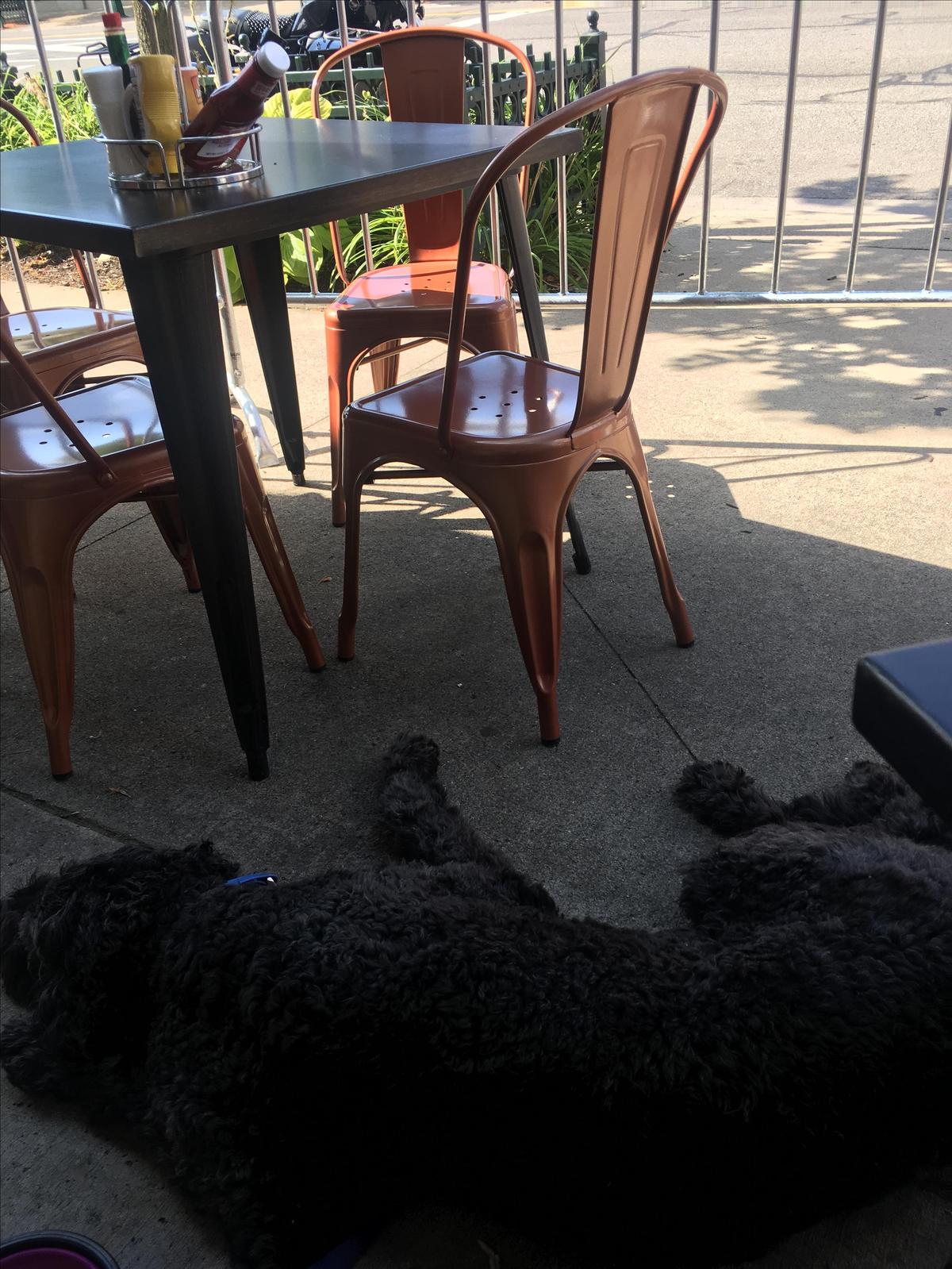 Tecumseh Brewing Company restaurant view 1