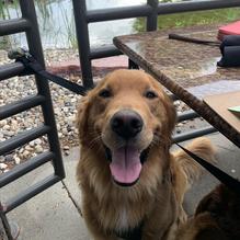 Granite City Food & Brewery restaurant view 7