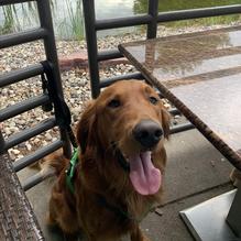 Granite City Food & Brewery restaurant view 6