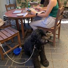 Cafe Rustica restaurant view 1