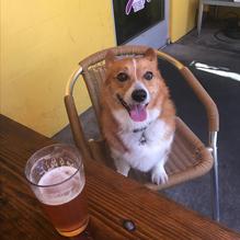 Cervecería at The Shack restaurant view 1