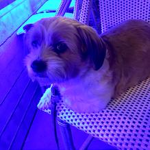 Blue Moon Over Avila restaurant view 5