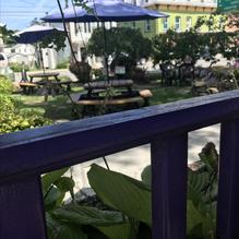 Taste Budd's Chocolate & Coffee Cafe restaurant view 1