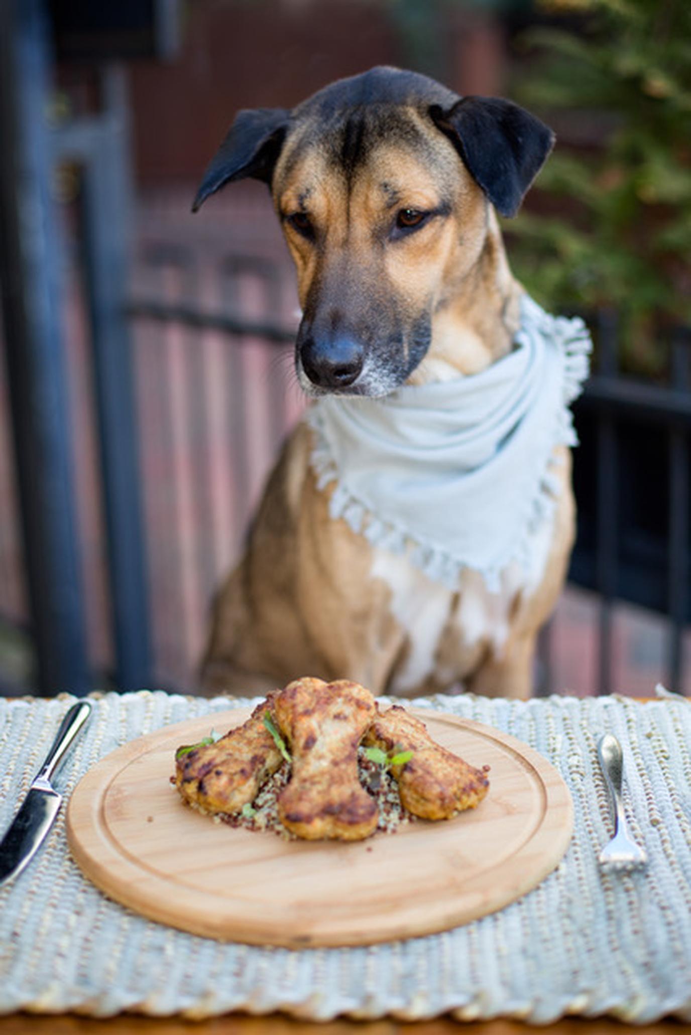 The gourmet dog menu at Posana makes it a canine favorite in Asheville. Posana is a fine-dining pet-friendly restaurant in Asheville.