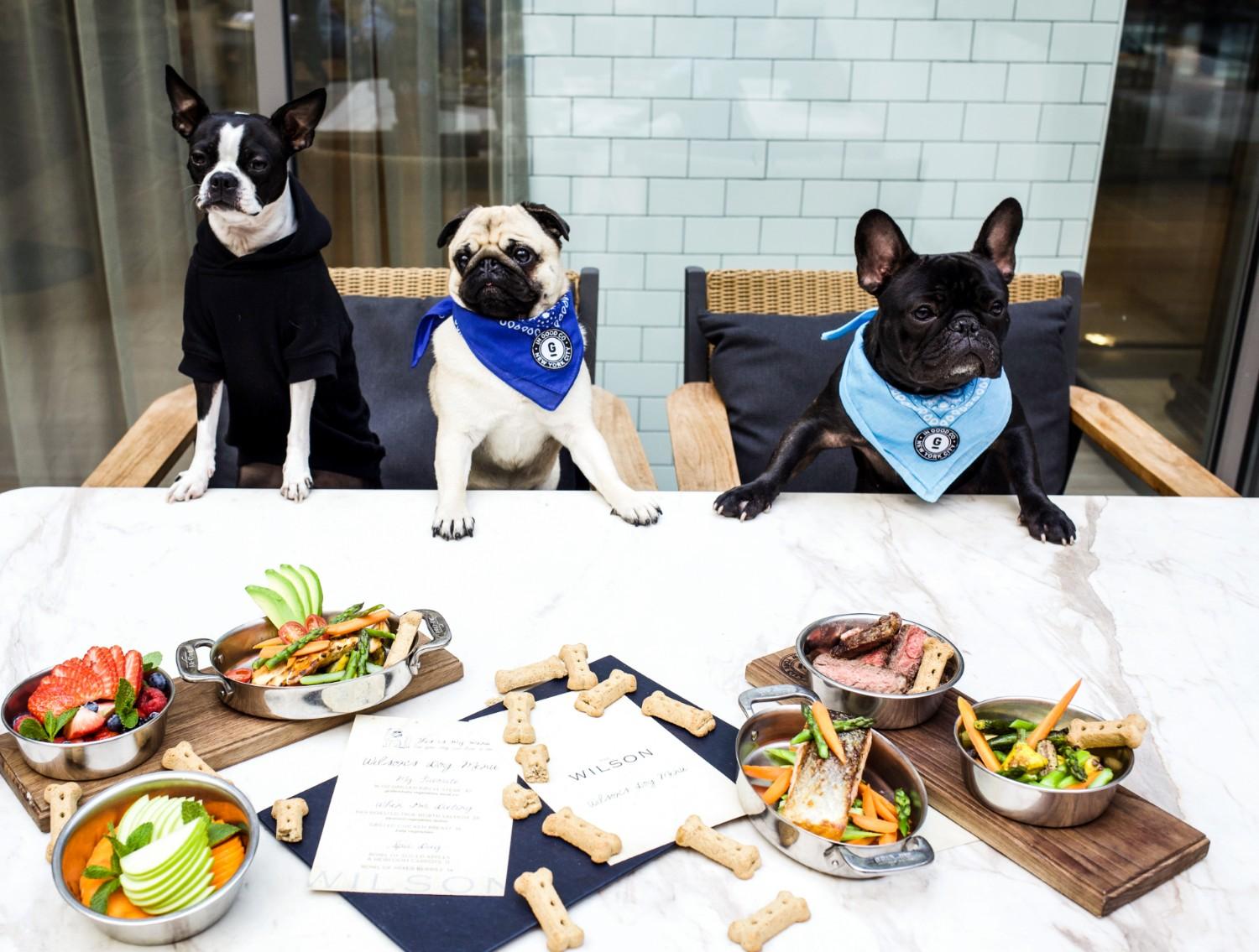 Restaurants With Gourmet Dog Menus