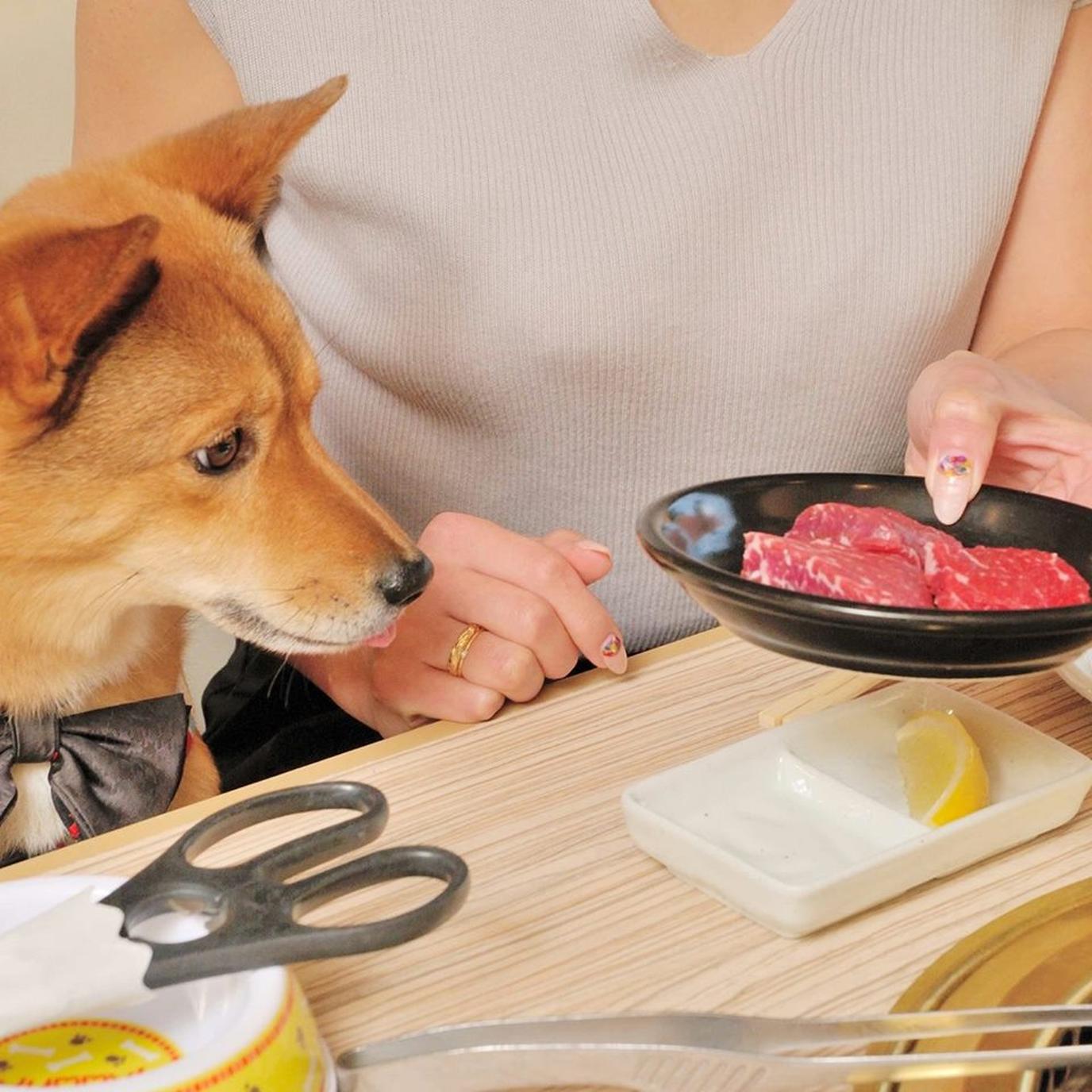 Ushisuke is one of the most dog-friendly restaurants in Tokyo. Ushisuke's dog menu lets you serve your dog, for a change.