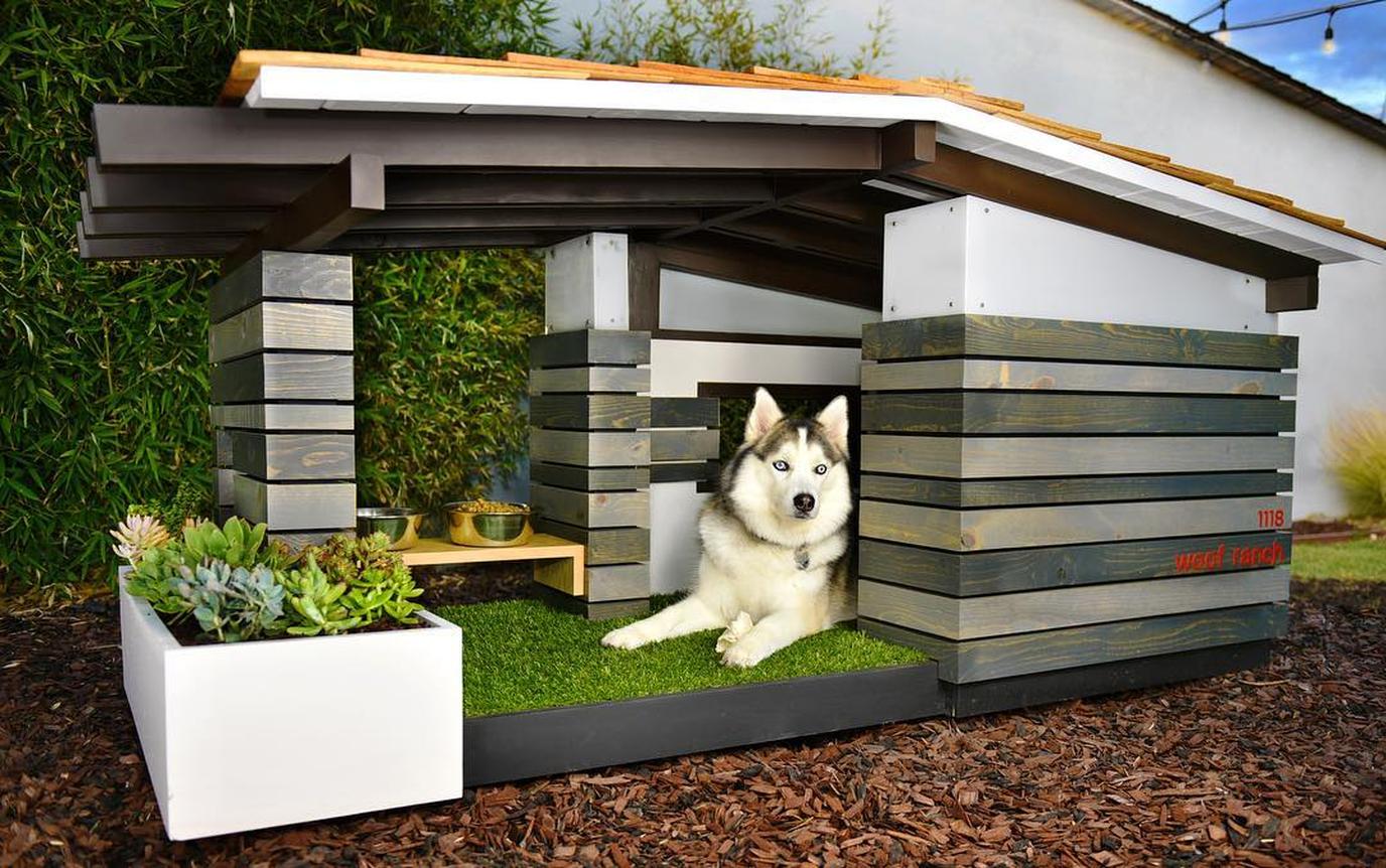Every Dog is Worth It auctioning 5 luxury dog houses for National Dog Day. Bid on a luxurious dog house for charity with the Every Dog Is Worth It campaign.