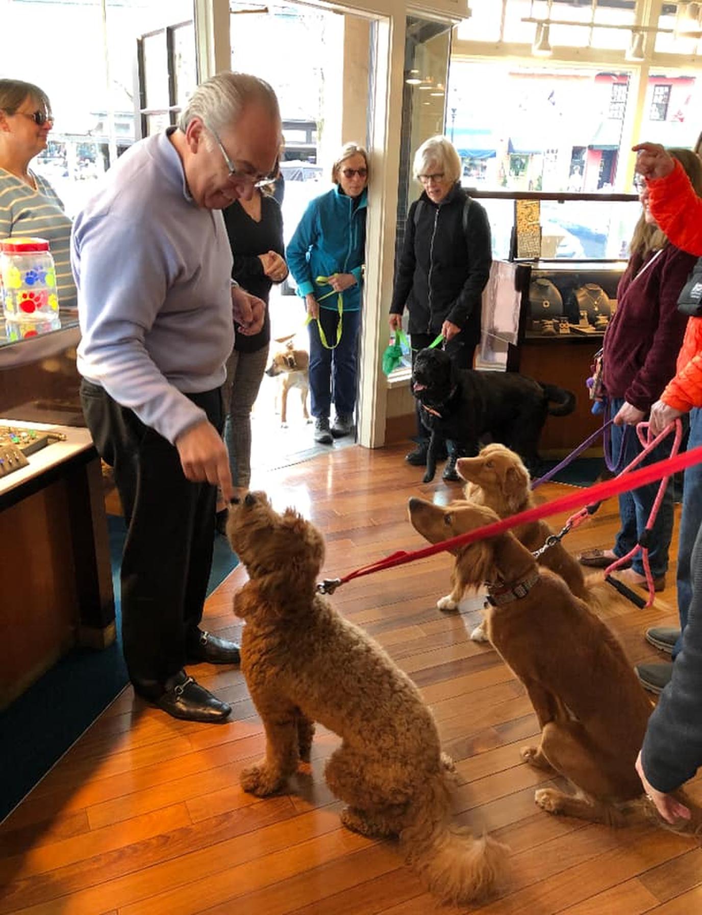 Zachary's Jewelers in downtown Annapolis is giving away dog toys for National Dog Day. Take your dog to Zachary’s Jewelers in downtown Annapolis on National Dog Day.