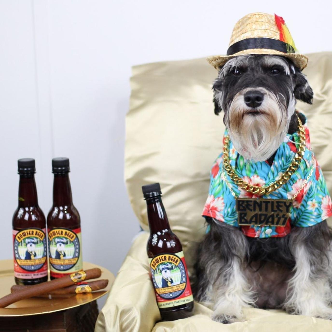 Bowser Beer dog beers. Get your dog a dog beer to celebrate National Dog Day.