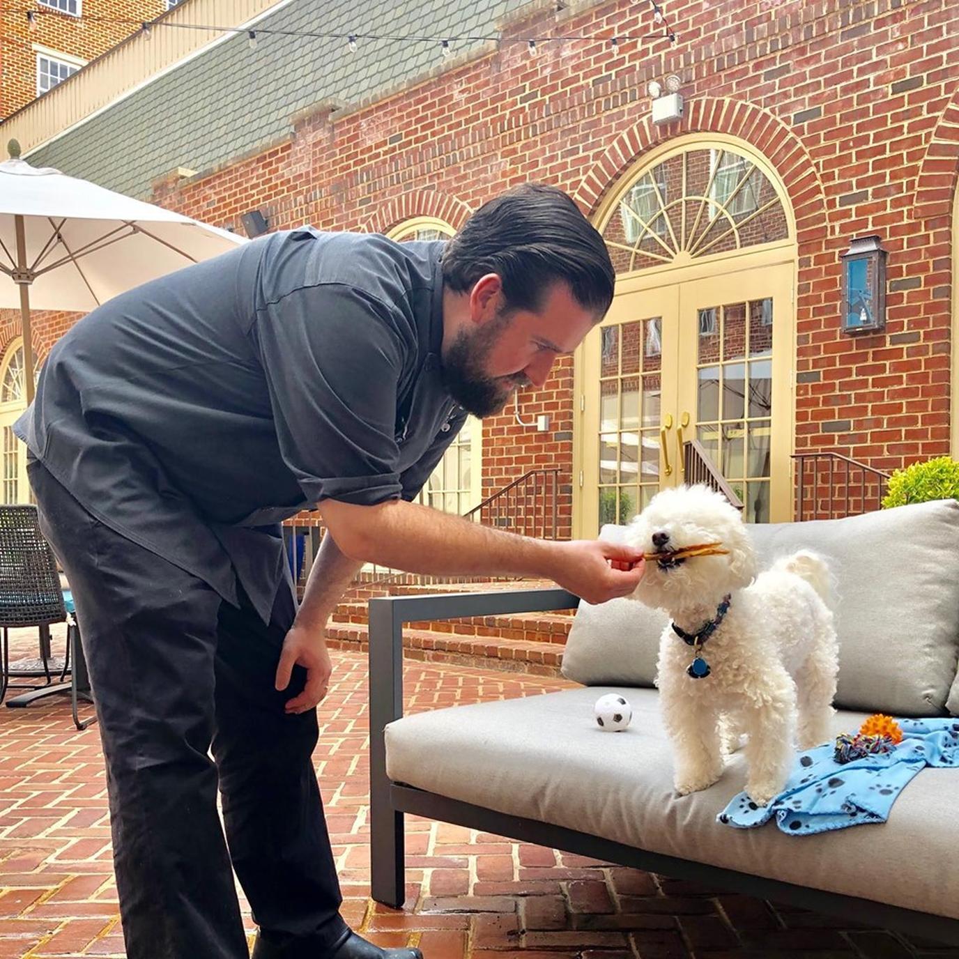 Ordering off the Proper Pups Patio Provisions dog menu for National Dog Day. Dog-loving Jackson 20 will be hosting a classy celebration of canines this National Dog Day.