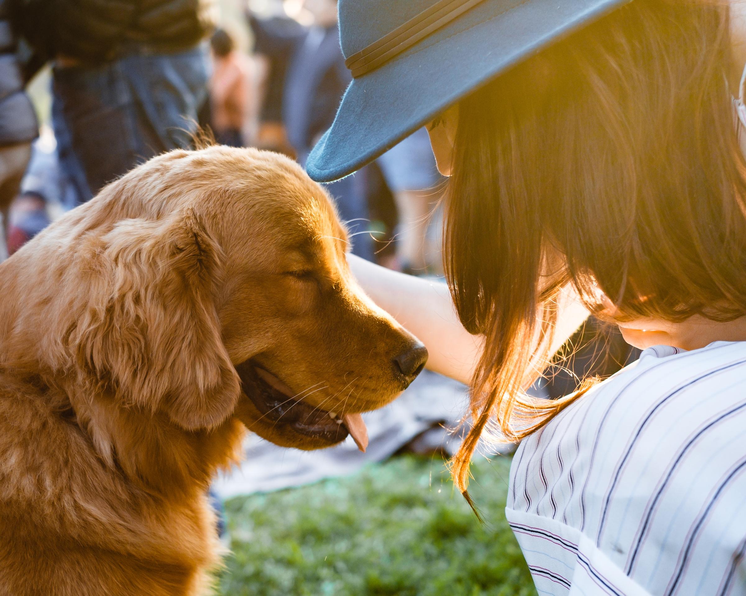 10 Ways to Spoil Your Dog for National Dog Day
