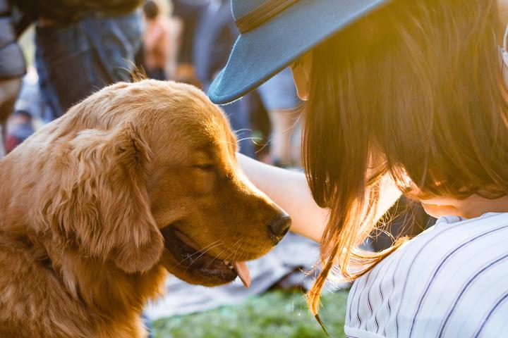 10 Ways to Spoil Your Dog on National Dog Day