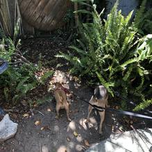 Crepe Place restaurant view 1