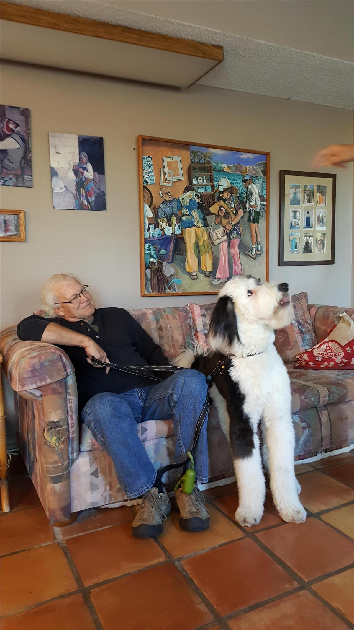 Big Dog: One of the biggest doggie guests at Bed and Bagels