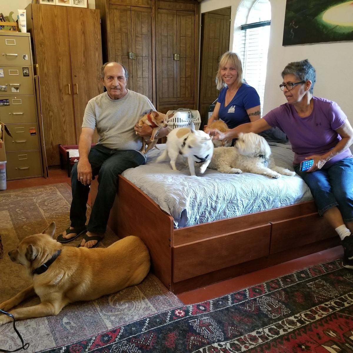 Five Pets