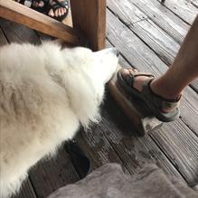 Castaways restaurant view 10