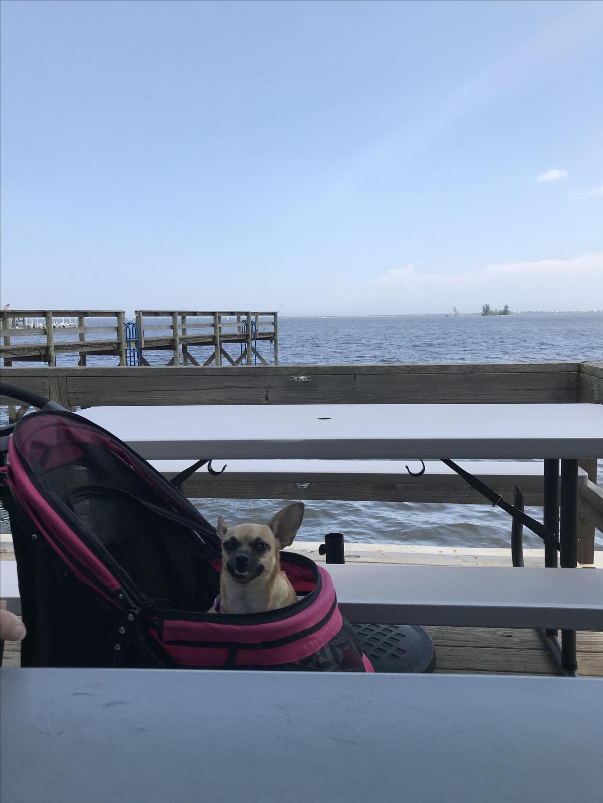 The Crab Stop restaurant view 5