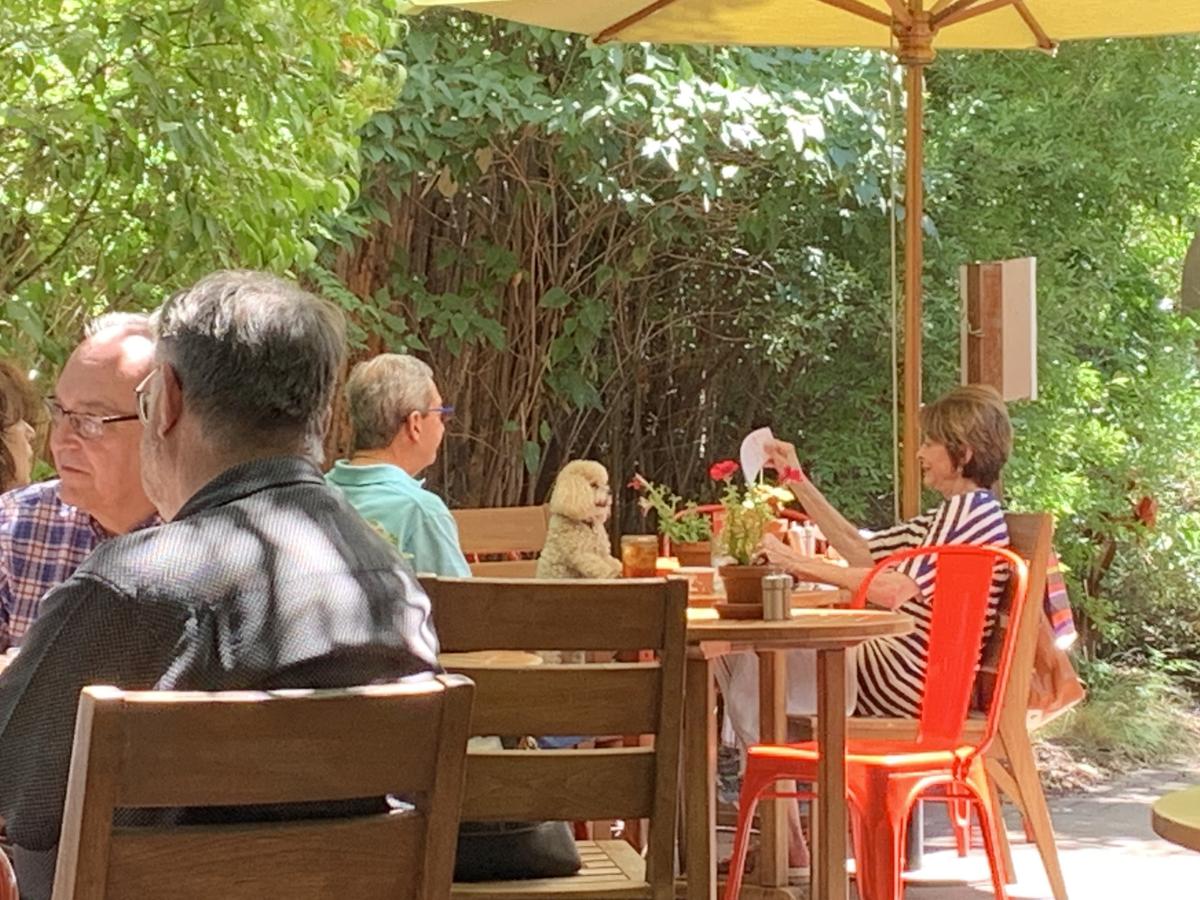 Vinaigrette restaurant view 1