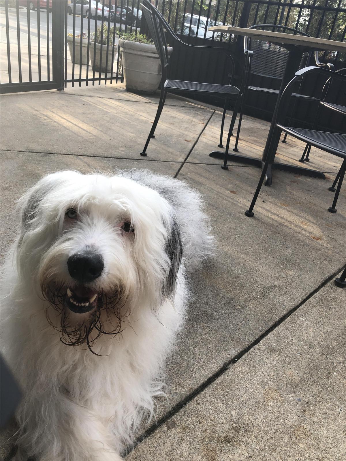 Mosley Loves Sushi @ Lotus!