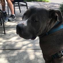 Panera Bread restaurant view 3