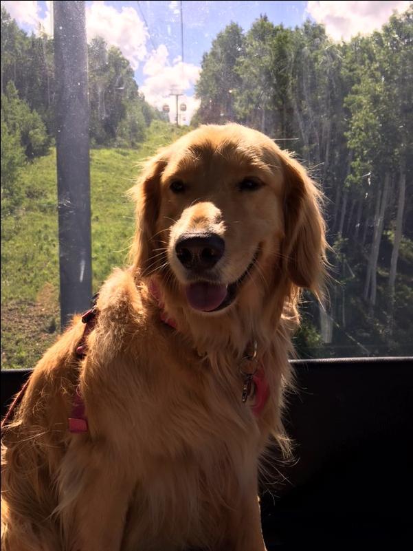 Heading Up To Ridge Trail