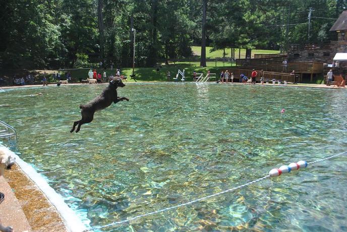 Liberty Bell Pool Dog Splash and Luau at FDR State Park in Georgia. Georgia’s largest state park allows dogs in the pool at the Liberty Bell Pool Dog Splash and Luau.