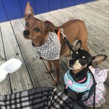 The Fish restaurant view 6