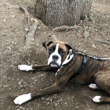 Blue Moon Cafe restaurant view 5