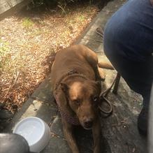 Ralph 'n' Rich's restaurant view 1