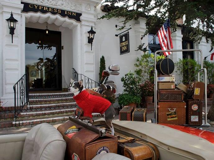 Carmel-by-the-Sea in California is a dog-friendly small town in California. The quaint community of Carmel-by-the-Sea is a dog-friendly town on the Monterey Peninsula in CA.