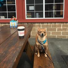 Fishetarian Fish Market restaurant view 3