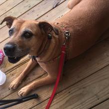 Meding's Seafood restaurant view 1