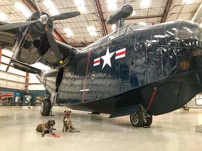 Bring Fido to a dog-friendly museum dedicated to aviation. Pima Air and Space is a dog-friendly museum in Tucson.
