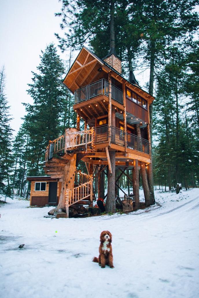 Visit the pet-friendly vacation rentals, Montana Treehouse Retreat. Montana Treehouse Retreat is a unique pet-friendly one-bedroom tree house vacation property.