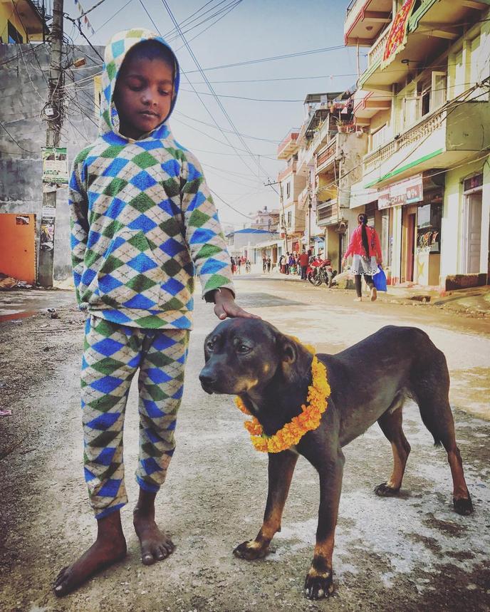 Celebrate dogs with the Nepalese festival of Kurkur Tihar. Kurkur Tihar is celebrated around the world to honor the special bond we have with dogs.