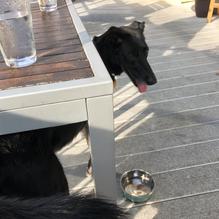 Table9 restaurant view 8